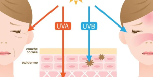 مقایسه قدرت نفوذ UVA و UVB در اپیدرم
