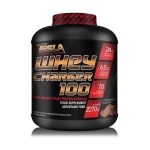 وی شارژر ۱۰۰٪ تسلا | TESLA WHEY CHARGER 100