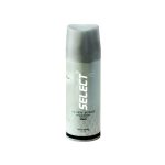 اسپری مردانه سلکت مدل Silver Scent حجم 200 میلی لیتر