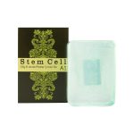 پن شستشو صورت استم سل مدل Oily & Acne وزن 100 گرم