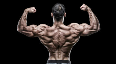 آمینو میلک آلامو بسته 800 عددی