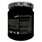 نوترابایو پری ورک آوت سیب سبز 580 گرم